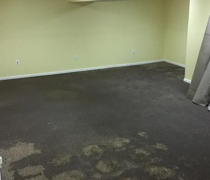 The customer's basement before mitigation. You can see the carpets are saturated with water.