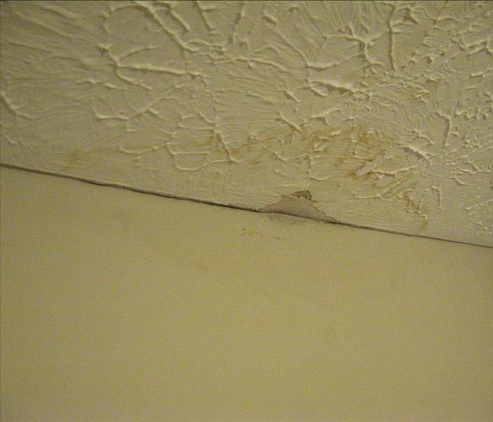 A water stain is shown on a ceiling.